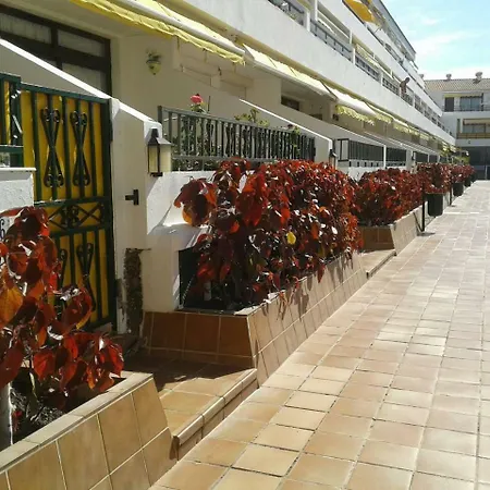 Appartamento Apartamento Puerto Santiago Puerto de Santiago (Tenerife)